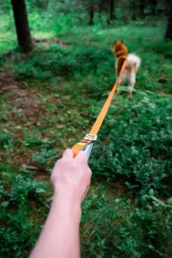 Woolly Wolf Roam Adjustable Leash monitoimihihna, oranssi