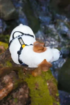 Woolly Wolf Roam Harness koirien valjaat, M, musta