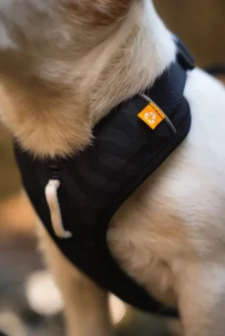 Woolly Wolf Roam Harness koirien valjaat, M, musta