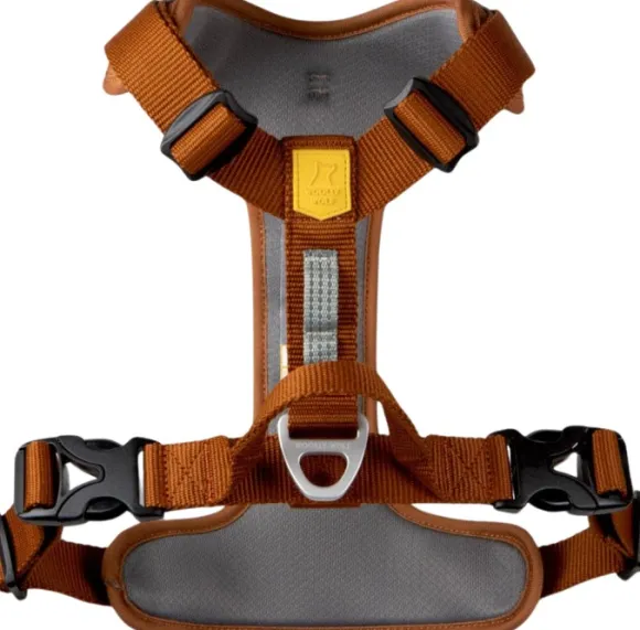 Woolly Wolf Roam Harness koirien valjaat, XL, oranssi