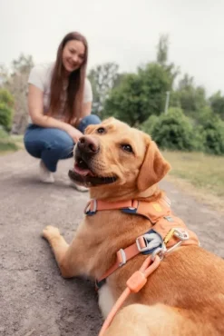 Woolly Wolf Rope Leash köysihihna, 10 mm, Pistachio