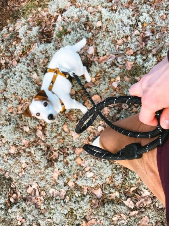 Woolly Wolf Rope Leash köysitalutin, Raven Black