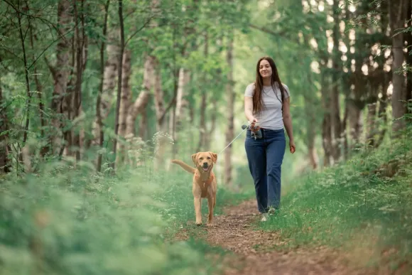 Woolly Wolf Rope Leash Thin köysihihna, 8 mm, vaaleanminttu