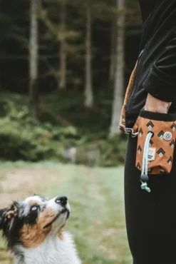 Woolly Wolf Snack Bag koiran makupalapussi, Sea to Summit