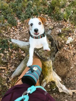 Woolly Wolf Snack Bag koiran makupalapussi, Woodland